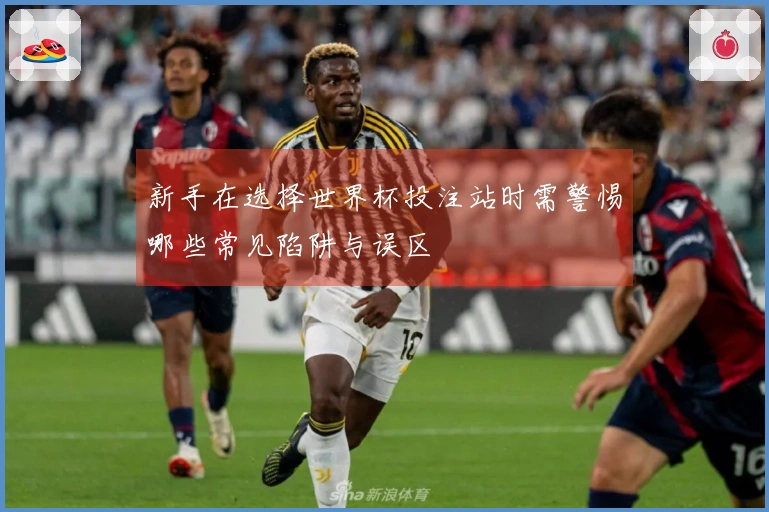 新手在选择世界杯投注站时需警惕哪些常见陷阱与误区