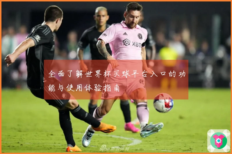 全面了解世界杯买球平台入口的功能与使用体验指南