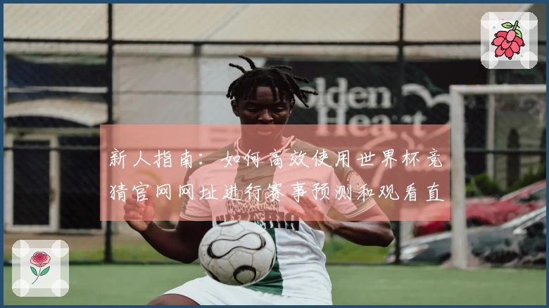 新人指南：如何高效使用世界杯竞猜官网网址进行赛事预测和观看直播