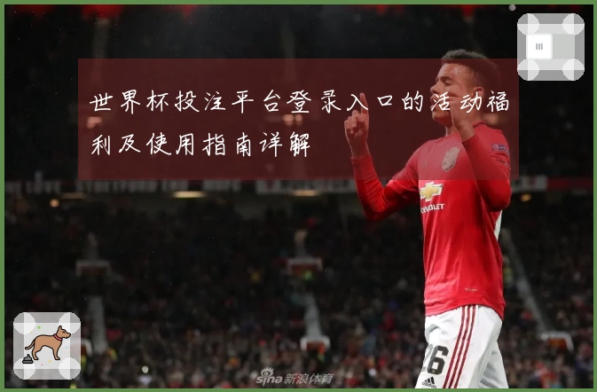 世界杯投注平台登录入口的活动福利及使用指南详解