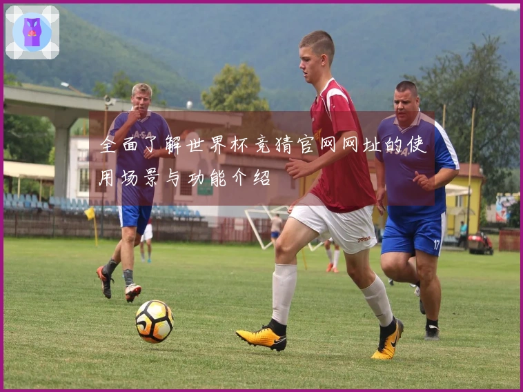 全面了解世界杯竞猜官网网址的使用场景与功能介绍