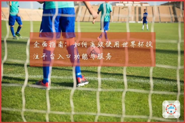 全面指南：如何高效使用世界杯投注平台入口功能与服务