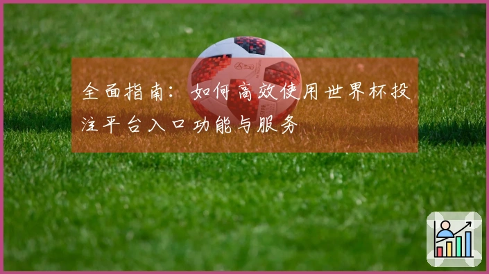 全面指南：如何高效使用世界杯投注平台入口功能与服务