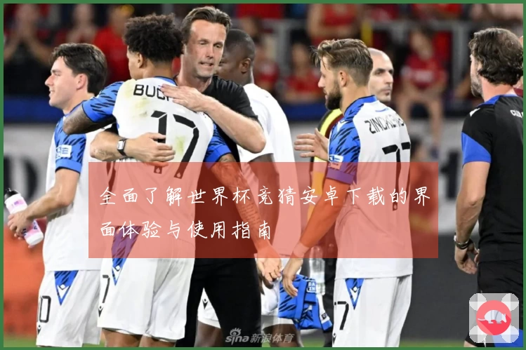 全面了解世界杯竞猜安卓下载的界面体验与使用指南