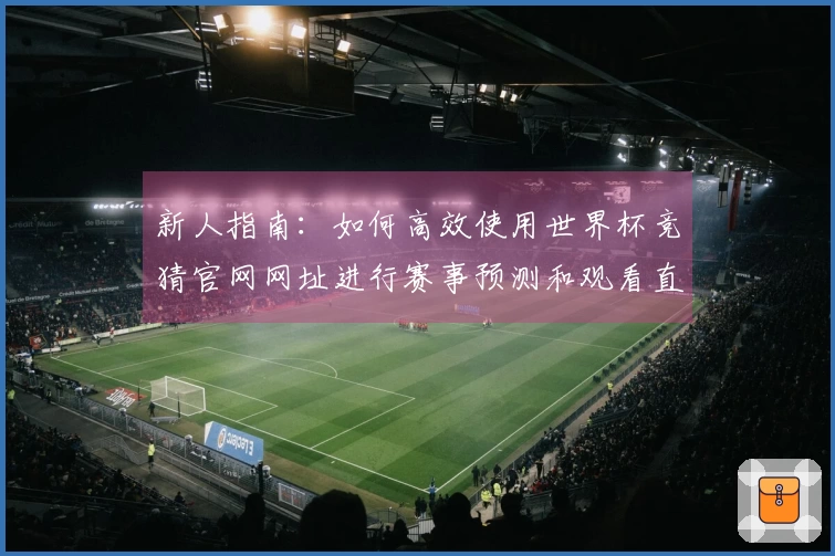 新人指南：如何高效使用世界杯竞猜官网网址进行赛事预测和观看直播