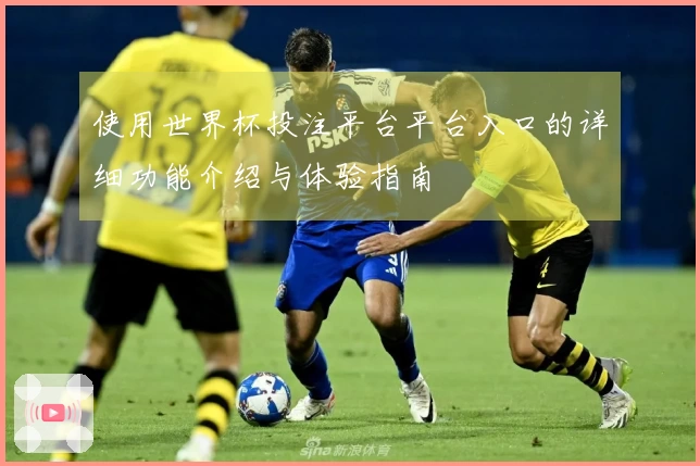 使用世界杯投注平台平台入口的详细功能介绍与体验指南