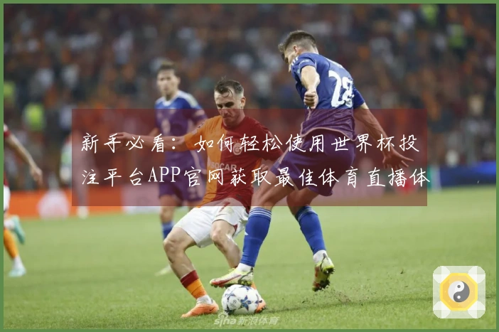 新手必看：如何轻松使用世界杯投注平台APP官网获取最佳体育直播体验
