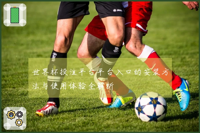 世界杯投注平台平台入口的安装方法与使用体验全解析