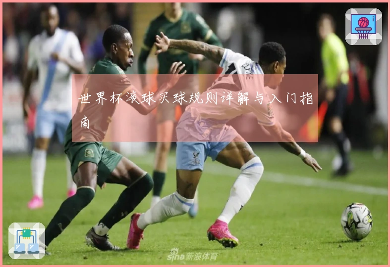 世界杯滚球买球规则详解与入门指南