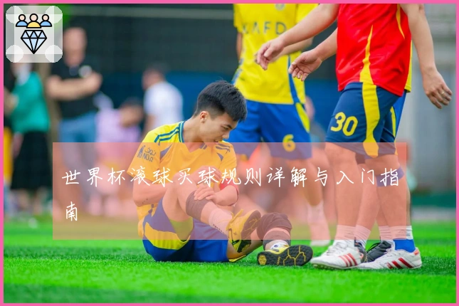世界杯滚球买球规则详解与入门指南