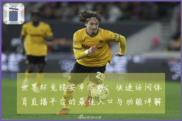 世界杯竞猜安卓下载：快速访问体育直播平台的最佳入口与功能详解